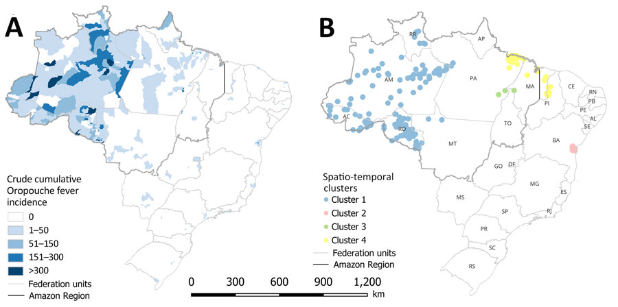 Spatiotemporal maps of epidemiology of Oropouche fever, Brazil, 2015–2024. A) Cumulative incidence (cases per 100,000 inhabitants); B) high-risk spatiotemporal clusters identified across municipalities. AC, Acre; AL, Alagoas; AM, Amazonas; AP, Amapá; BA, Bahia; CE, Ceará; DF, Federal District; ES, Espírito Santo; GO, Goiás; MA, Maranhão; MG, Minas Gerais; MS, Mato Grosso do Sul; MT, Mato Grosso; PA, Pará; PB, Paraíba; PE, Pernambuco; PI, Piauí; PR, Paraná; RJ, Rio de Janeiro; RN, Rio Grande do Norte; RO, Rondônia; RR, Roraima; RS, Rio Grande do Sui; SC, Santa Catarina; SE, Sergipe; SP, São Paulo; TO, Tocantins.