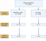 Results of screening in study of human circovirus in patients with hepatitis, Hong Kong. Ct, cycle threshold; HCirV, human circovirus.