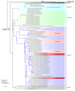 Phylogenetic analysis of monkeypox virus (MPXV) sequences from Mbaya Health Zone in study of presumed transmission of MPXV variants from Central African Republic to Democratic Republic of the Congo. Phylogenetic analysis of MPXV genome sequences are from samples described in this study and clade I MPXV sequences from Central Africa. Bootstrap support values are shown at branch points. DNA was extracted at the National Institute for Biomedical Research using a QIAGEN DNA Mini Kit (https://www.qiagen.com) from blood samples and subsequently screened for MPXV with an orthopoxvirus-specific real-time PCR assay. Whole-genome sequencing was attempted on samples from the index case by next-generation sequencing. Library preparation was performed using Illumina DNA Prep with Enrichment (https://www.illumina.com), and libraries were enriched for MPXV using biotinylated custom probes synthesized by Twist Biosciences (https://www.twistbioscience.com). Note that 23MPX0134C(D2), 23MPX0135V(C2), and 23MPX0136V(C3) are samples from crust or vesicles from separate individuals. Sequences can be accessed with the following GISAID (https://www.gisaid.org) accession nos.: EPI_ISL_19287107 (D2), EPI_ISL_19287108 (C2), EPI_ISL_19287109 (C3). Scale bar indicates number of substitutions per site.