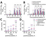 Virus replication and cytotoxicity in a comparison of contemporary and historic highly pathogenic avian influenza A(H5N1) virus replication in human lung organoids. A, B) Virus replication in ihLO (A) hLO (B). Cells were infected at a multiplicity of infection of 0.1 with 1 of the 3 indicated HPAI H5N1 virus isolates. Organoids were removed from Matrigel (Corning, https://www.corning.com) and incubated with virus for 1 hour at 37°C, after which virus was removed, organoids were washed, and replated in Matrigel. Culture supernatant samples were taken at 0, 8, 24, 48, 72, and 96 hours postinoculation and titered on Madin-Darby canine kidney cells. Titrations were read after 3 days by using a hemagglutination assay using turkey red blood cells. Dashed line indicates lower limit of detection; error bars denote means and SDs. p values <0.05 are indicated above bars. Of note, ihLOs and hLOs were derived from different donors. C,D) Cytotoxicity in ihLO (C) hLO (D). Culture supernatants from ihLOs (C) or hLOs (D) were collected and tested for release of lactate dehydrogenase into culture supernatant according to the LDH-Glo Cytotoxicity Assay protocol (Promega, https://www.promega.com) as an indicator of cell death. Results were converted to mU per mL LDH determined by the standard curve using a simple linear regression. Cells lysed with Triton X-100 (MilliporeSigma, https://www.sigmaaldrich.com) were included as maximum LDH release controls. Dashed line indicates lower limit of quantification. Error bars denote means and SDs of ihLO (n = 6 ) or hLO (n = 3) biologic replicates. Statistical analysis was conducted using 2-way analysis of variance followed by Tukey posttest. p values <0.05 are indicated and color coded by isolate. hLOs, adult stem cell–derived human lung organoids; HPAI, highly pathogenic avian influenza; ihLO, iPSC-derived human lung organoids; LDH, lactate dehydrogenase; iPSCs, induced pluripotent stem cells. 