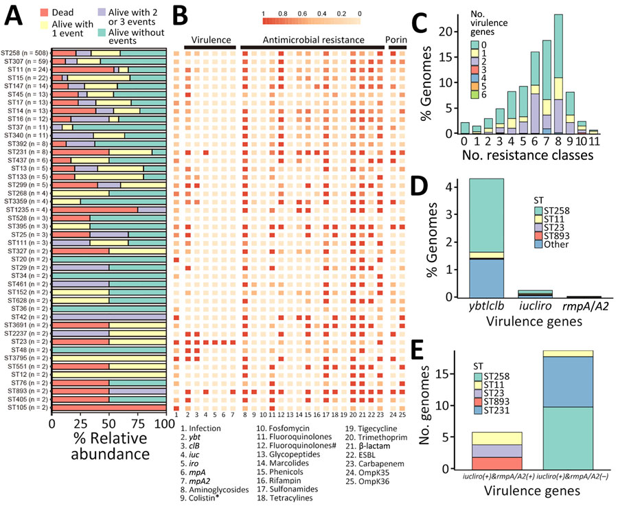 Information of 884 isolates of carbapenem-resistant Klebsiella pneumoniae isolates, United States. A) Unadjusted distribution of desirability of outcome ranking outcomes. B) Heatmap of infections, virulence genes, antimicrobial resistance genes, and porin mutations in STs with >2 isolates. *MgrB or PmrB loss-of-function mutations. #Mutations in the quinolone resistance–determining regions of GyrA and ParC. C) Distribution of drug classes by genome for which antimicrobial resistance elements were detected. Bars colors indicate the presence of virulence genes. D, E) Distributions of virulence genes (D) and virulence gene combination (E) per genomes. Bars are colored based on STs. ESBL, extended-spectrum β-lactamase; ST, sequence type. 