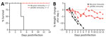 Mortality rates and weight change in a study of influenza A(H5N1) immune response among ferrets with pH1N1 immunity. A) Mortality rates; B) percentage weight change. We observed percentage of weight change as an indicator of severe disease in ferrets with or without pH1N1 immunity among ferrets intranasally infected with H5N1 strain A/dairy cattle/Texas/24-008749-001/2024(H5N1). pH1N1, influenza A(H1N1)pdm09.