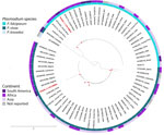 Phylogenetic tree of the DNA sequences of Plasmodium falciparum and Plasmodium vivax (red text) isolated from traveler returning to Colombia from the Comoros Islands, 2024, and compared with sequences reported from other countries. The red points on the tree represent bootstraps >80%.