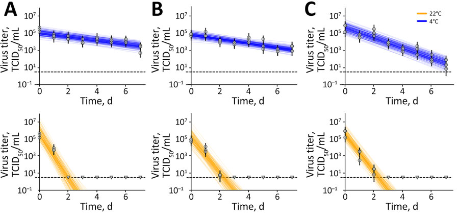 Results of experimental testing of highly pathogenic avian influenza A(H5N1) virus stability on surfaces, United States. Surface stability of infectious H5N1 in milk at 4°C (blue) and 22°C (orange) was tested on polypropylene (A), stainless steel (B), and nitrile rubber material (C). Vertical lines represent random draws from the joint posterior distribution of the exponential decay rate and the initial virus titer, where the intercept of each line is the initial titer and the slope is the negative of the decay rate. The dashed horizontal lines are at 100.5 TCID50/mL of medium and represent the approximate limit of detection. Individual data points are represented as circles (above limit of detection) or triangles (below limit of detection). TCID50, 50% tissue culture infectious dose.