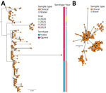 Phylogenetic analysis of Vibrio cholerae seventh pandemic El Tor (7PET) isolates collected during study of V. cholerae transmission and effectiveness of single-dose oral cholera vaccine, Democratic Republic of the Congo. A) Maximum-likelihood tree of 255 7PET V. cholerae genomes sampled in Bukavu during 2020–2023. Node colors indicate sample type. Associated colored metadata indicate sampling year and inferred serotypes according to genome analysis. Scale bar indicates nucleotide substitutions per site. B) Minimum spanning tree of 255 7PET V. cholerae genomes sampled in Bukavu during 2020–2023. Node colors indicate sample type. Isolates with 0 single-nucleotide polymorphism differences between each other are collapsed into single node. Node sizes are scaled according to the number of samples. Scale bar indicates single-nucleotide polymorphisms.