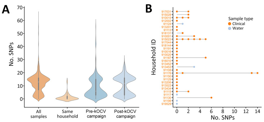 Pairwise comparisons of SNPs in surveillance study of Vibrio cholerae and effectiveness of single-dose killed oral cholera vaccine (kOCV), Democratic Republic of the Congo. A) Violin plot showing distribution of pairwise SNP differences from all isolates collected during the study, those from the same household, and those pre-kOCV and post-kOCV campaign. Density curves indicate frequency of data points. Inside each density plot, horizontal white lines within boxes indicate medians; box tops and bottoms indicate upper (third) and lower (first) quartiles; and whiskers indicate minimum and maximum values. Number of pairwise comparisons for each category is as follows: all samples, n = 32,385; same household, n = 99; pre-kOCV campaign, n = 6,205; and post-kOCV campaign, n = 10,296. B) SNP differences per household. Pairwise SNP differences are relative to the first sample in the household. Node colors indicate sample type; stems connect samples to their household. ID, identification; SNP, single-nucleotide polymorphism.