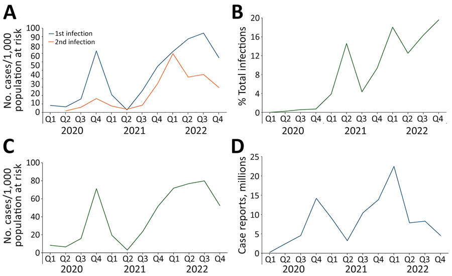 Survey of self-reported SARS-CoV-2 infections among national blood donor cohort, United States, 2020–2022. A–C) Swab-confirmed or healthcare provider–diagnosed infections grouped into quarterly bins: US blood donor survey-reported first and second COVID-19 infection incidence (A); reinfections as percentage of total infections (B); and total infection incidence (C). D) Quarterly counts of case reports through the US surveillance system.