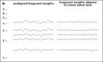 Thumbnail of Additional alignment of very similar patterns can identify clearly distinct patterns. Measurement noise obscures the detailed relationships between 26 patterns that were identified from 1,335 as being very similar. However, after alignment to a consensus pattern, a clearly distinct pattern (an outlier from the other members of this autocluster) can be readily identified. Fragment lengths are given in kilobasepairs (kb).