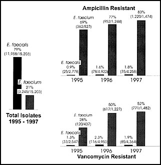 Epidemiology of enterococcal infection based on 15,203 susceptibility results obtained by The Surveillance Network (TSN) Database-USA, 1995 to Sep 1, 1997. The increase in total numbers between 1995 and 1996 represents additional reporting centers coming on line. Numbers for 1997 represent total collected for the partial year to Sep 1, 1997.