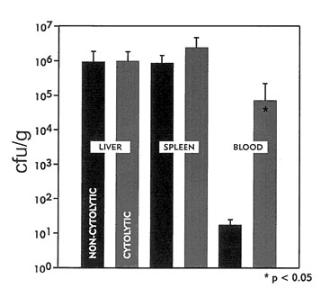 Cytolysin favors the appearance of circulating enterococci. In this experiment, 107 CFU of E. faecalis, either cytolytic FA2-2(pAM714) (60) or noncytolytic FA2-2(pAM771) (64), were intraperitoneally injected (45) into groups of five BalbC mice. Viable bacteria in liver, spleen, and the bloodstream were enumerated 48 hrs following injection, and significance assessed by Student's t-test. (P. Coburn, L.E. Hancock, and M.S. Gilmore, in preparation).