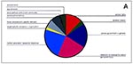 Thumbnail of Distribution of motivations for chemical and biological terrorism incidents, 1960—Jan. 31, 1999 (147 cases).