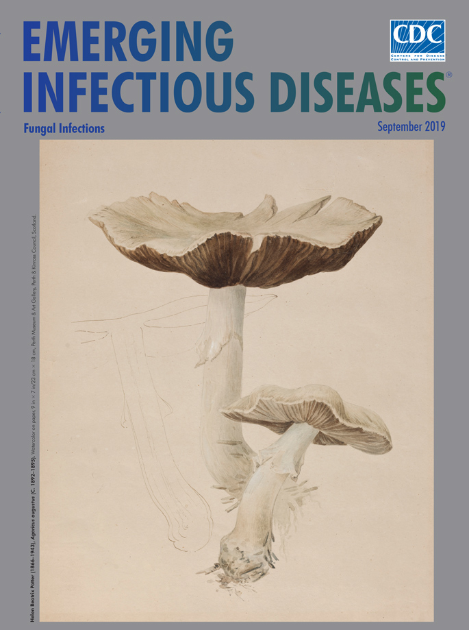 Helen Beatrix Potter (1866–1943), Agaricus augustus (c. 1892–1895). Watercolor on paper, 9 in × 7 in/23 cm × 18 cm, Perth Museum and Art Gallery, Perth and Kinross Council, Scotland.