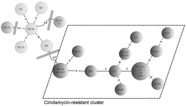 Minimal spanning tree of 23 Clostridium difficile isolates. In the circles, the individual isolates are mentioned. The numbers between the circles represent the summed tandem repeat differences (STRDs) between multiple-locus variable-number tandem-repeat analysis types. Straight lines represent single-locus variants, dashed lines double-locus variants. Curved lines represent triple-locus variants. Two related clusters can be discriminated: the light gray cluster (isolates B1, B4, M246, B6, and M